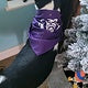 Ice Bears Bandana Purple